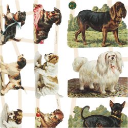 Glansbilleder Hunde 2 ark. 