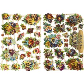 Glansbilleder Stedmoderblomster 2 ark. 