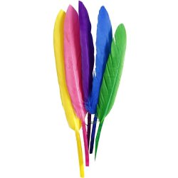 Fjer ass farver 13 cm 48 stk. 