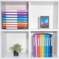 Exacompta Dokumentbox Plast A4 2.5cm Sort