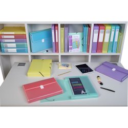 Exacompta Hamonikamappe Plast 13 Rum Ass farver