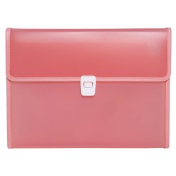 Exacompta Hamonikamappe Plast 13 Rum Ass farver