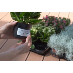 Herma etiket aftagelig film ektra strk 48,3x25,4 (880)