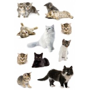 Herma stickers Decor katte (3)