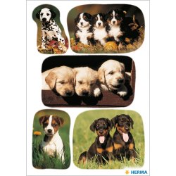Herma Stickers Decor Hundehvalpe (3)