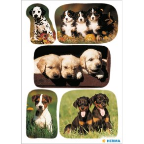 Herma Stickers Decor Hundehvalpe (3)