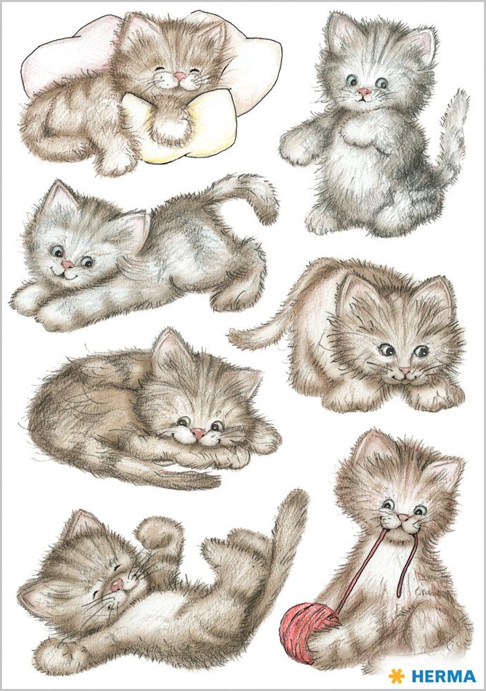 Herma Stickers Decor Kattekillinger (3)
