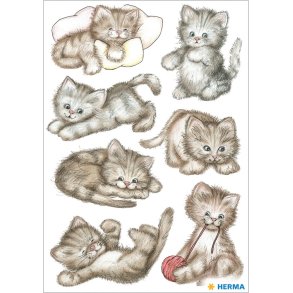 Herma Stickers Decor Kattekillinger (3)