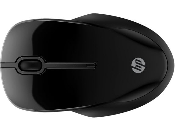 HP 250 Dual Wireless Mouse (Consumer)