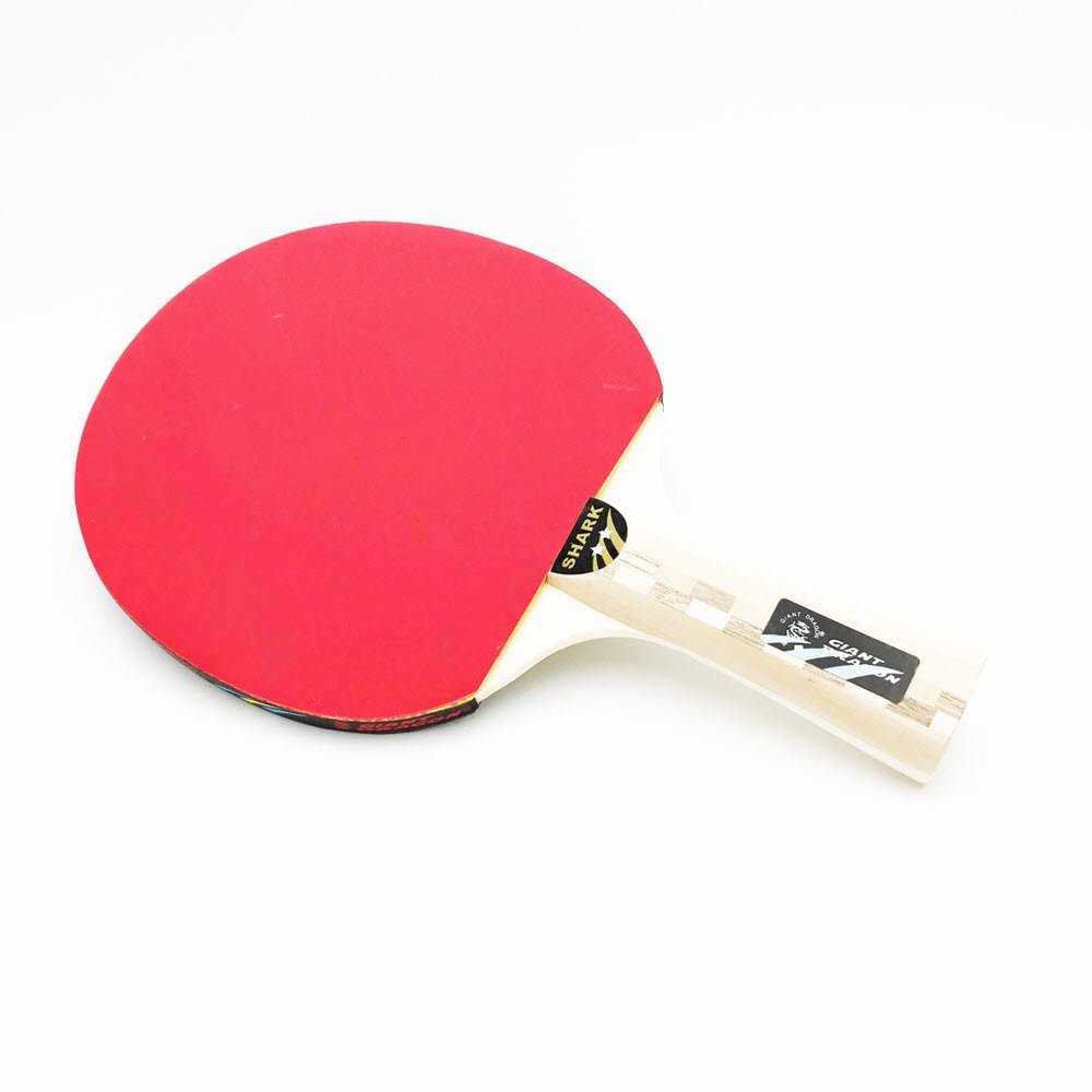 Bordtennis bat i trę 1 stk. inkl. 2 bolde