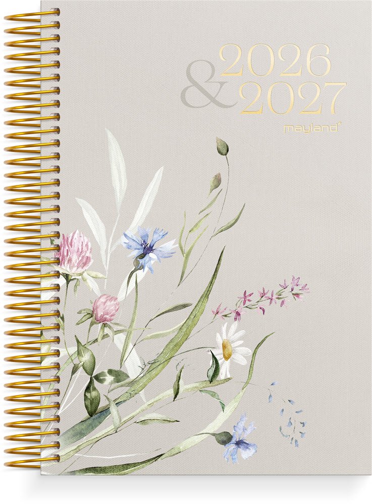 Mayland Studie 26/27 Dagkalender Stor Story