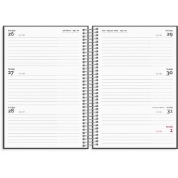 Mayland Studie 26/27 ugekalender tv�rf. gr�n
