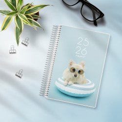 Mayland studie 25/26 Dagskalender 2i1 m. klap stor. 