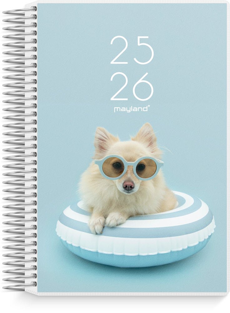 Mayland studie 25/26 Dagskalender 2i1 m. klap stor. 