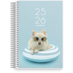 Mayland studie 25/26 Dagskalender 2i1 m. klap stor. 