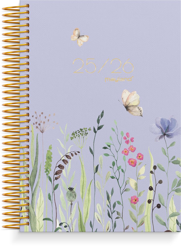 Mayland studie 25/26 Dagskalender stor story blomster print
