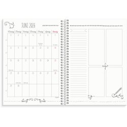 Mayland studie 25/26 Uge kalender Doodle A5