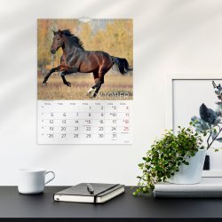 Vgkalender Heste 2026