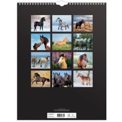 Vgkalender Heste 2026