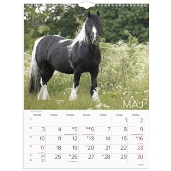V�gkalender Heste 2027