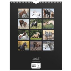 V�gkalender Heste 2027