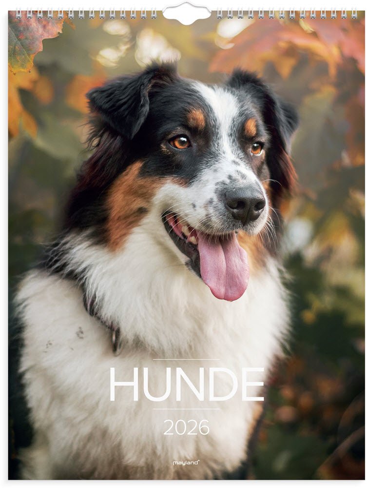 Vgkalender Hunde 2026
