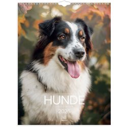 Vgkalender Hunde 2026