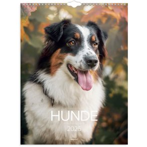 Vgkalender Hunde 2026