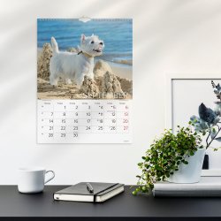 Vgkalender Hunde 2026