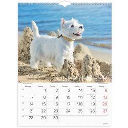 Vgkalender Hunde 2026