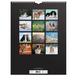 Vgkalender Hunde 2026