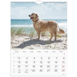 V�gkalender Hunde 2027