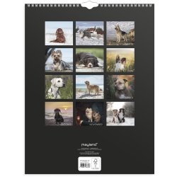 V�gkalender Hunde 2027