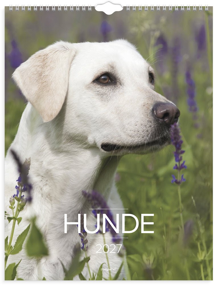V�gkalender Hunde 2027