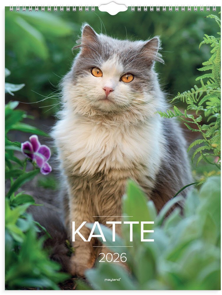 Vgkalender Katte 2026