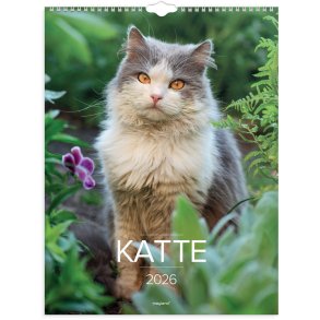 Vgkalender Katte 2026