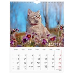 Vgkalender Katte 2026