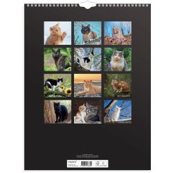 Vgkalender Katte 2026