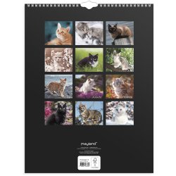 V�gkalender Katte 2027