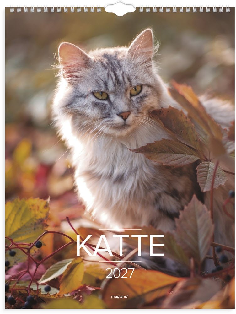 V�gkalender Katte 2027