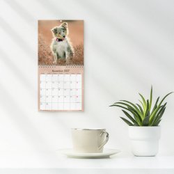 V�gkalender Mini Hundehvalpe 2027