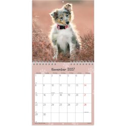 V�gkalender Mini Hundehvalpe 2027