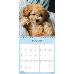 V�gkalender Mini Hundehvalpe 2027