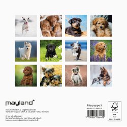V�gkalender Mini Hundehvalpe 2027