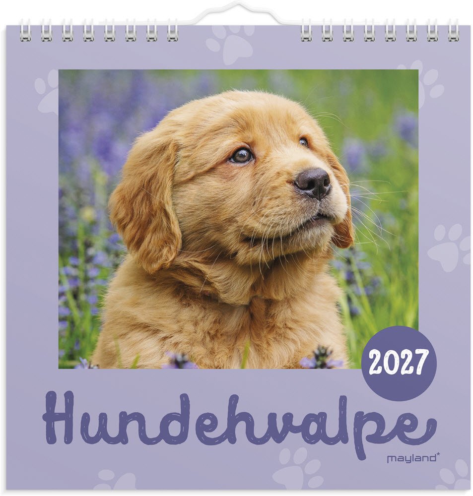 V�gkalender Mini Hundehvalpe 2027