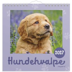 V�gkalender Mini Hundehvalpe 2027