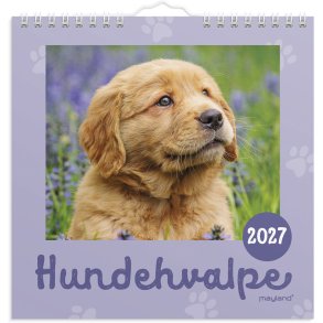 V�gkalender Mini Hundehvalpe 2027