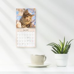 V�gkalender Mini Kattekillinger 2027