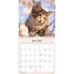 V�gkalender Mini Kattekillinger 2027