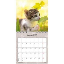 V�gkalender Mini Kattekillinger 2027